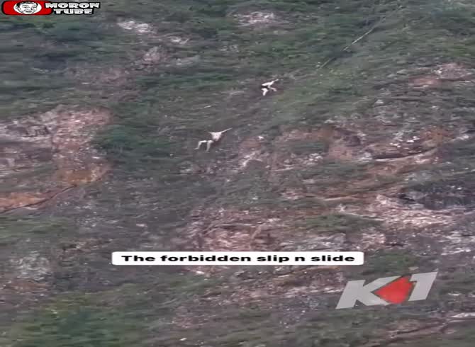 Video :It was a painful fall, but he's lucky to escape alive!